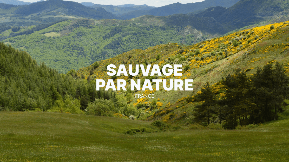 Voyager en quad et SSV en Ardèche Cévenole : entre pierre, forêts et silences