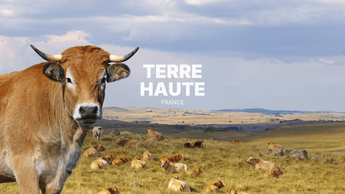 Voyager en quad et SSV sur l’Aubrac : terres hautes et horizons ouverts