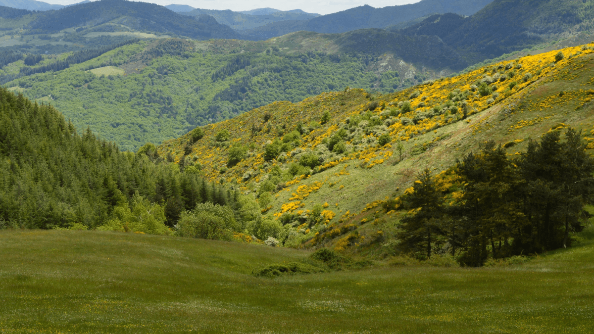 Voyager en quad en Europe