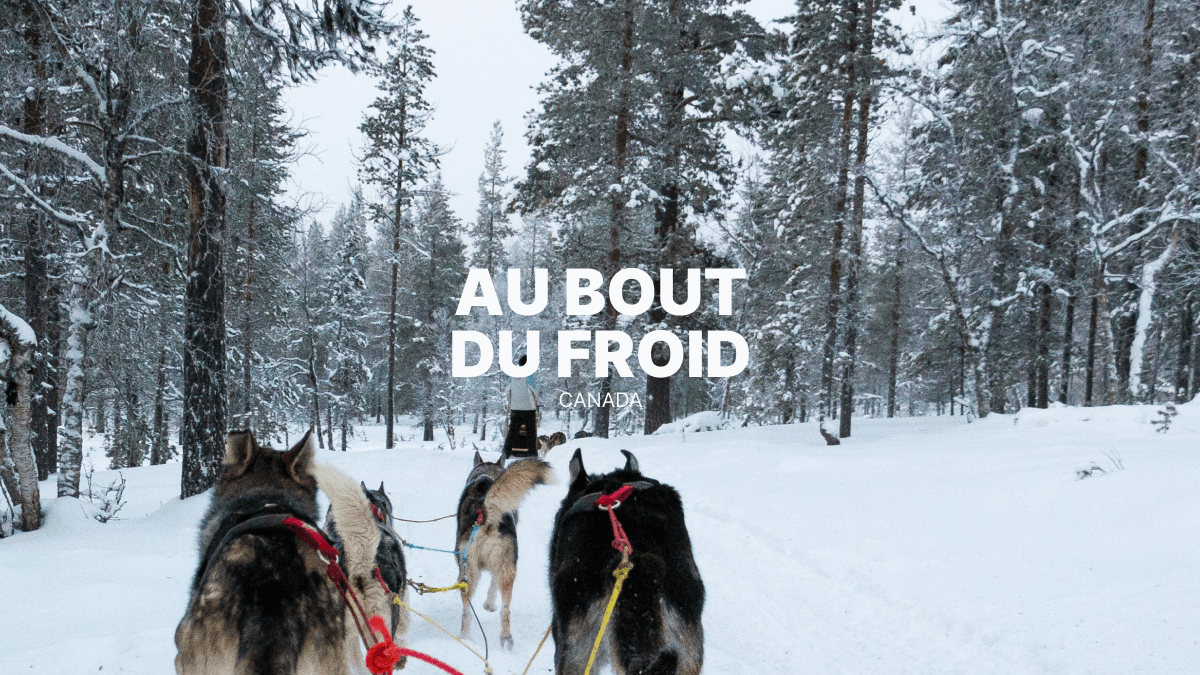 Vivre l’hiver canadien : motoneige, chiens de traîneaux et grands espaces