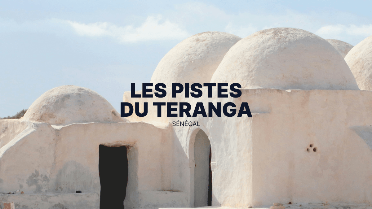 Voyager en SSV au Sénégal : sur les pistes du Teranga, entre sable et océan