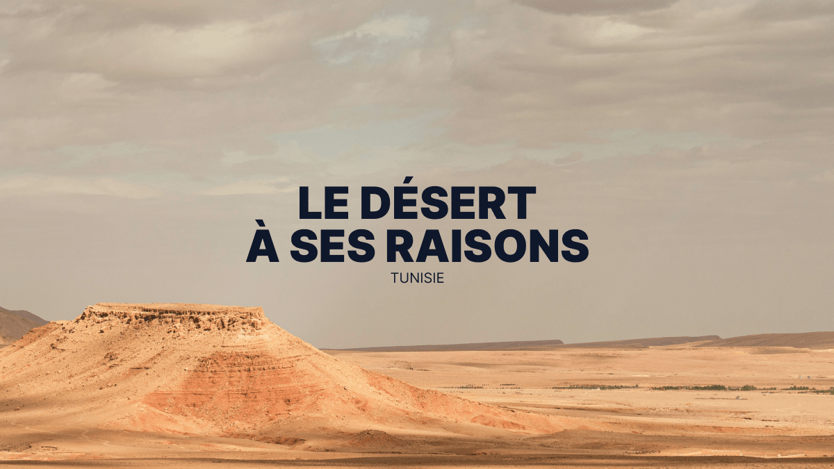 Tunisie : les Princes du désert, immersion en quad et SSV au cœur du Grand Erg Oriental