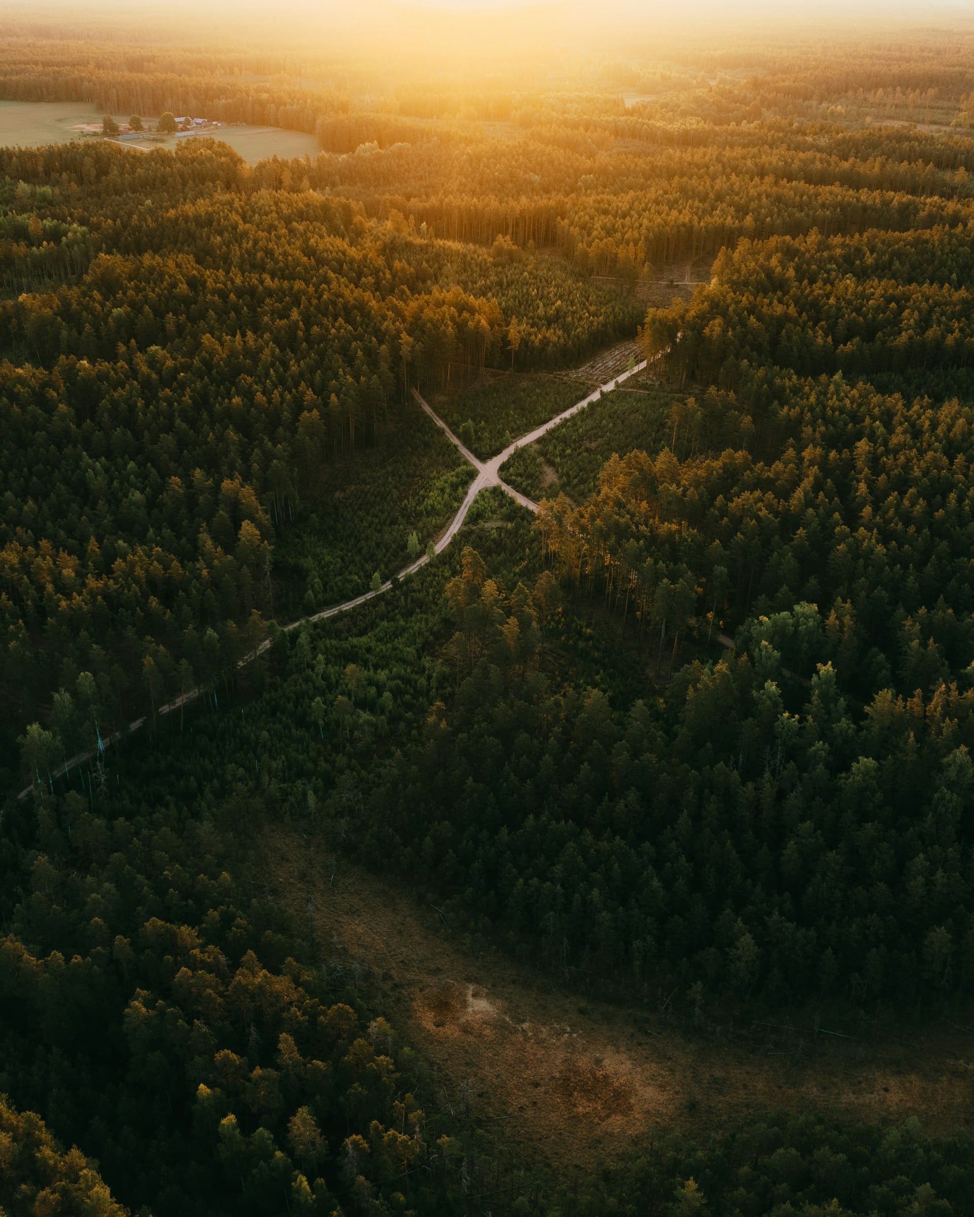 Billet de la semaine du 4 Août 2025 – Entre tensions règlementaires, marchés agiles et soif de nouveauté