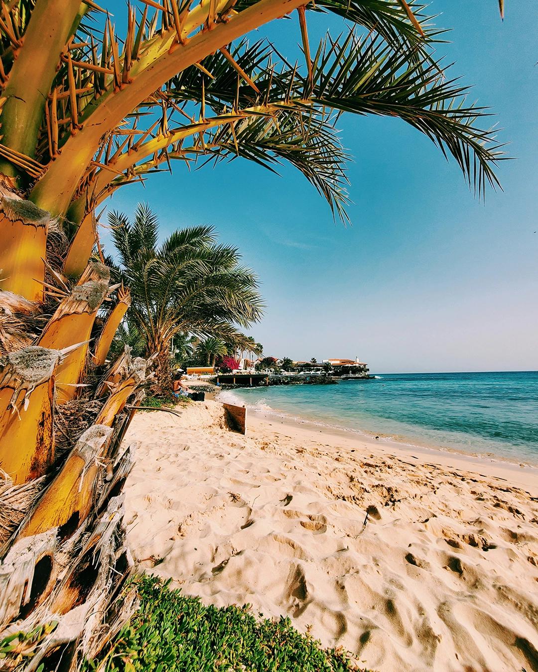 Cap-Vert : Sal, l'île de la lumière et du vent