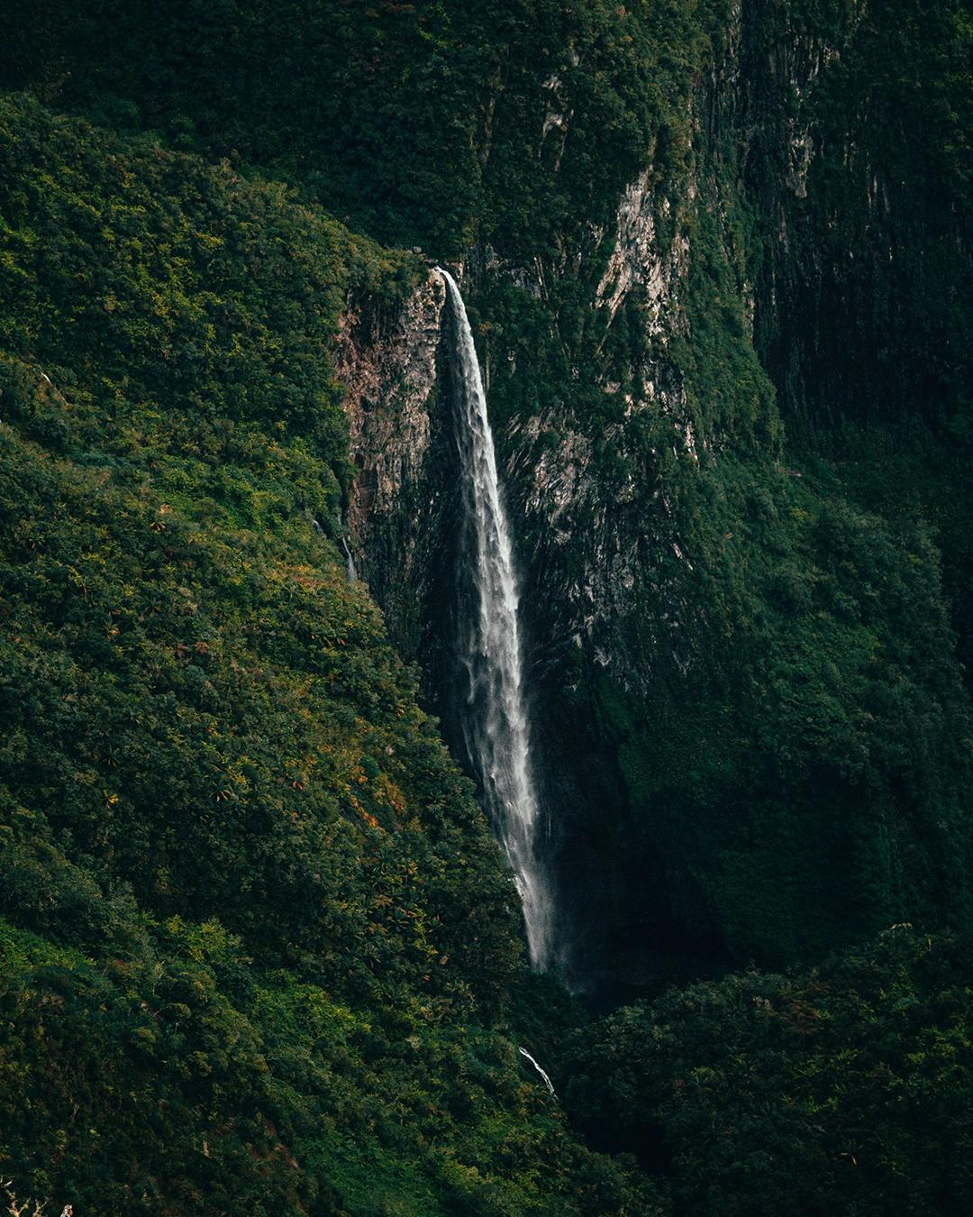 Chemin des Pommes Cannelles