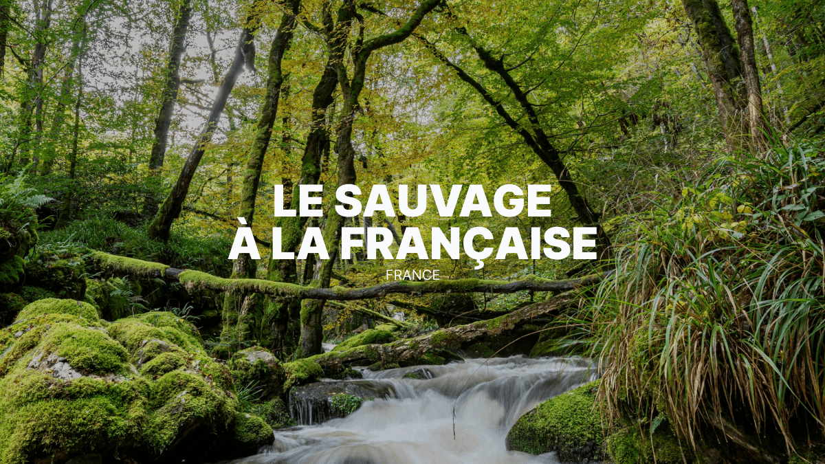 Randonnée motorisée au cœur d’une Bourgogne sauvage et forestière