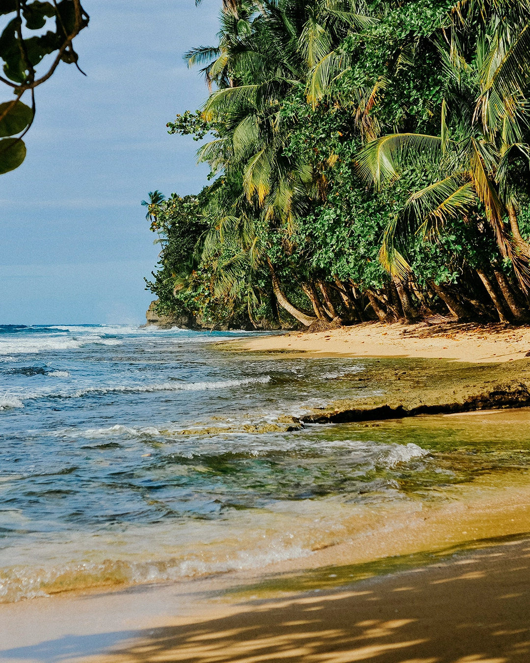 Plage de sable doré et cocotiers