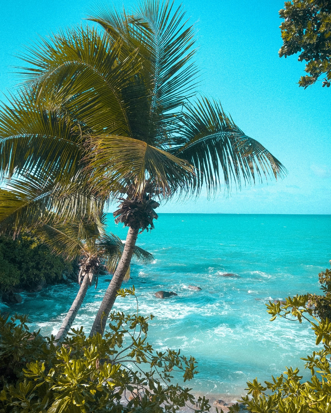Mahé, l’île grande des Seychelles : douceur, plages et nature luxuriante