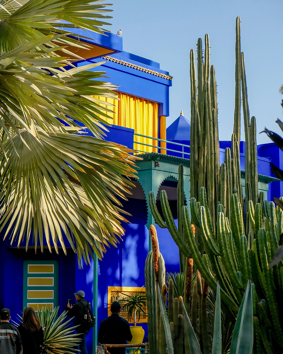 Jardin Majorelle