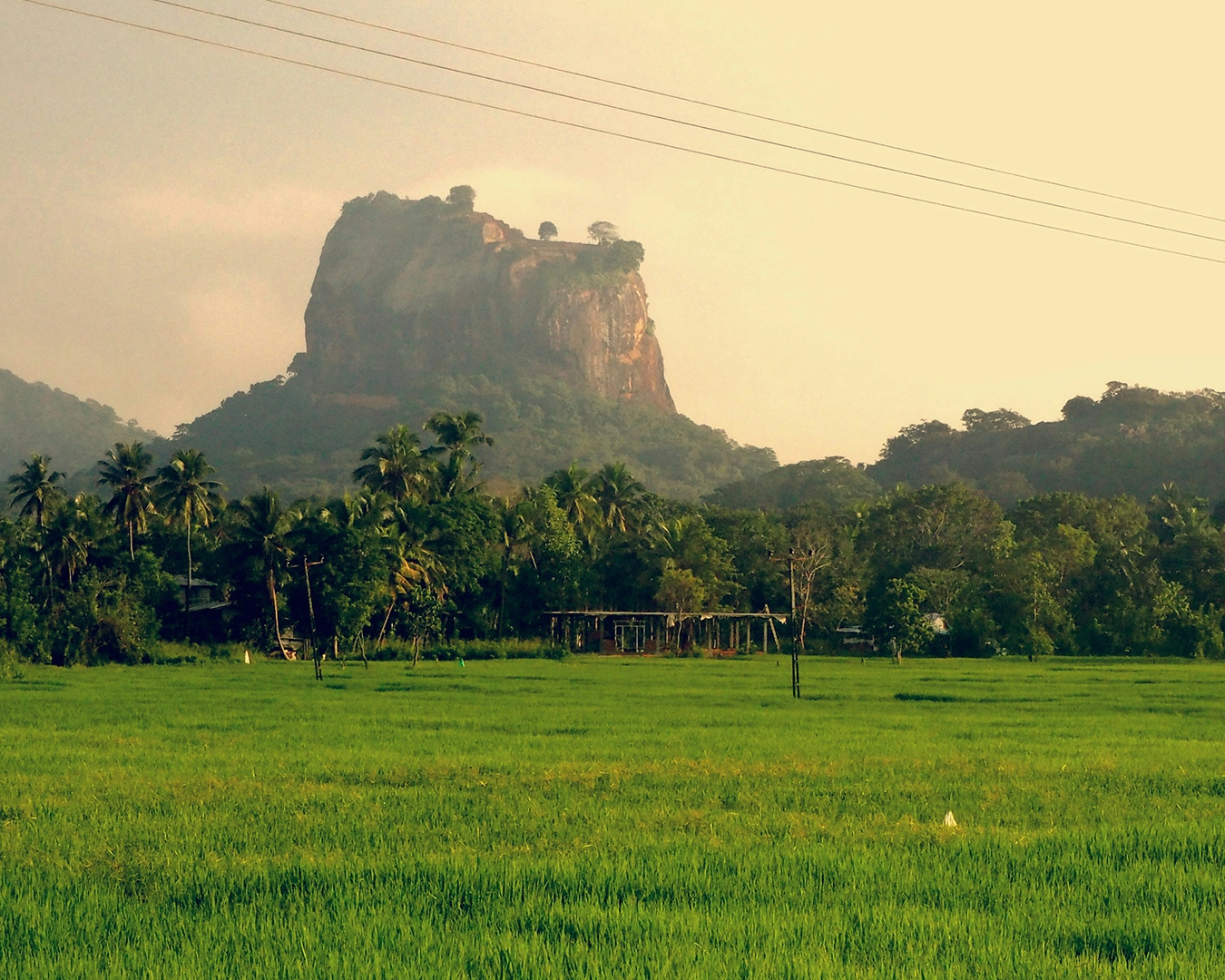 Sri Lanka : entre plages dorées et héritage spirituel